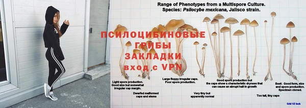 apvp Беломорск