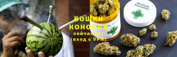 винт Белокуриха