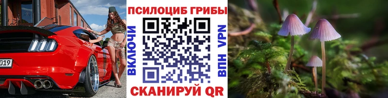 МЕГА ссылка  даркнет как зайти  Галлюциногенные грибы Psilocybe  Вязьма 